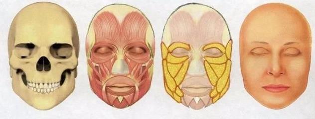 下颌角太宽，显得脸又大又方，什么瘦脸办法最好？